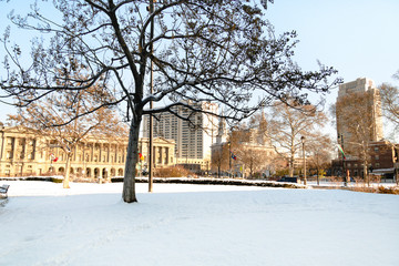 Snow in park Philadelphia