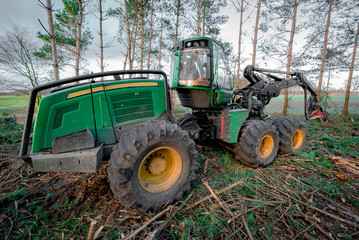 Forstwirtschaft - Holzernte mit Harvester