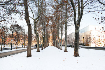 Snowy park with trees