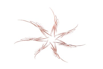 mystical star abstract background
