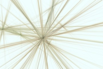 Obraz premium abstract rendered lines, beautiful background