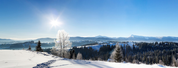 Winter snowy view. Panorama