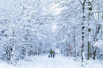 people are walking in the snow-covered forest