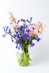 Colorful hyacinth flowers in a vase
