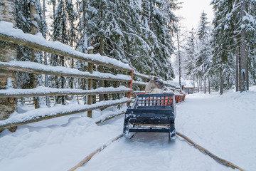 Naklejka premium Winter in Finland