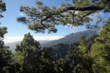 Fototapeta na wymiar nationalpark caldera de taburiente