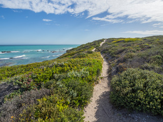 De Hoop Nature Reserve - Walking path leading through the sand dunes at the ocean with coastal...