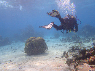 Scuba Diver at Coral Reef