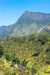 Summit in the Nuwara Eliya distric in the highlands of Sri Lanka. The area has the highest mountains on the island