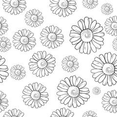 Repeat pattern with chamomile in black and white colors, coloring book, vector illustration isolated on white background