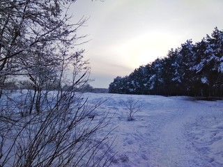 fairy winter landscape