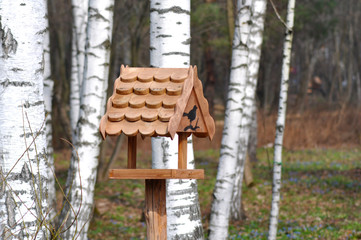 Beautiful wooden bird feeder