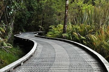 camminare nella natura