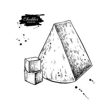 Cheddar cheese drawing. Vector hand drawn food sketch. Engraved triangle Slice