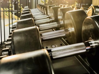 Dumbbells in the gym.