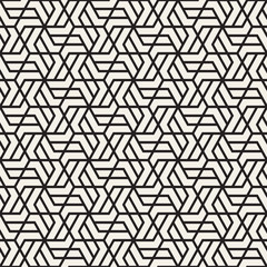 Vector seamless lattice pattern. Modern stylish texture with monochrome trellis. Repeating geometric grid. Simple design background.