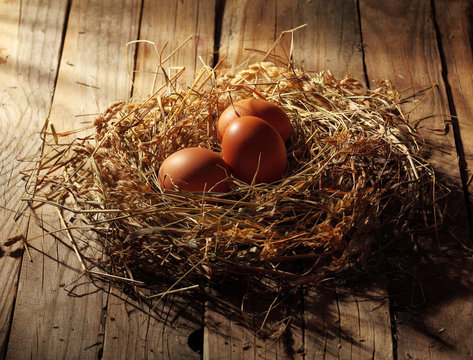 Hen organic eggs in the nest. On wooden rustic background.Copy space
