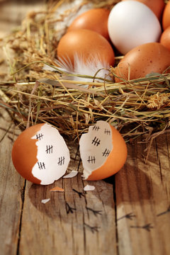 Concept of an escaped young chicken.Hen organic eggs in the nest. On wooden rustic background.Selective focus.Closeup