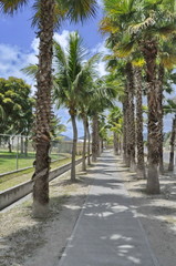Walkway in St. Maarten