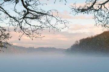 Zimowe Jezioro Przywidzkie zasnute mgłą