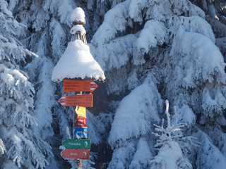 Drogowskaz - szlaki biegowe narciarskie w Sudetach Wschodnich w Czechach - obrazy, fototapety, plakaty