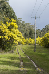 View of Australia countryside