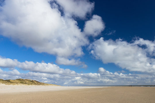 sand dunes of Blaavand beach, south Jutland
