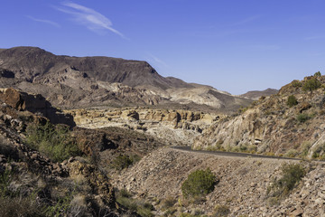 Fototapeta na wymiar Arizona landscape in summer