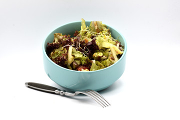 Green Salad in a Blue Bowl