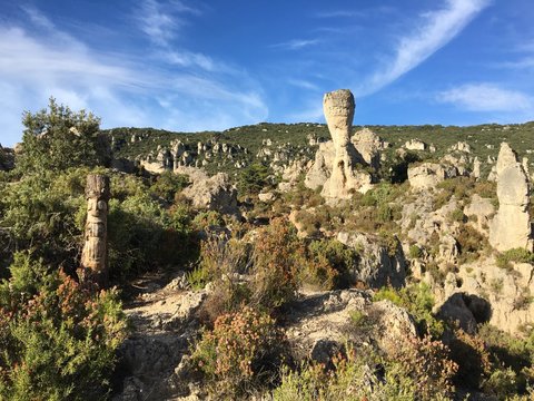 Nature