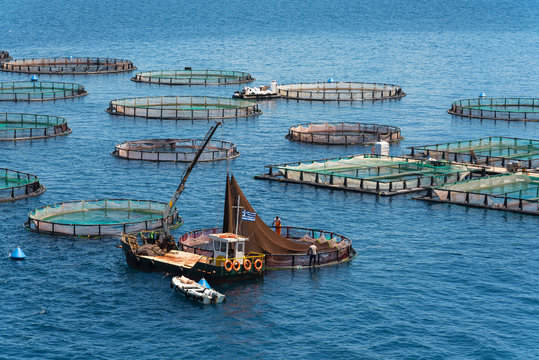 Fish farming on the sea. Corfu Island. Greece.