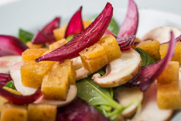 Red pickled onion, baby spinach, raw brown champignon mushrooms and crutons