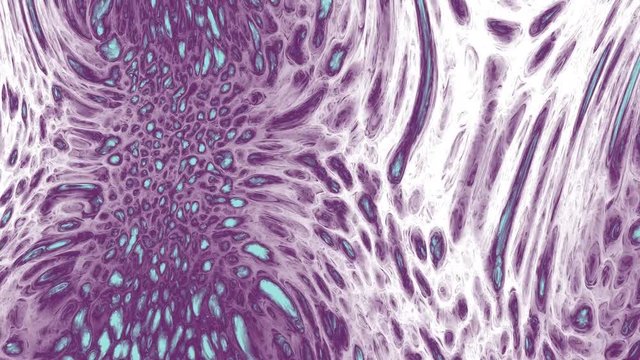 Abstract cell division seamless motion background.