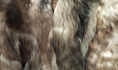 Natural fur background texture