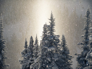 Backlit snow crystals in the air over a mountain scene