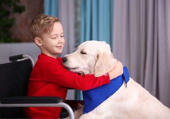 Boy in wheelchair with service dog indoors