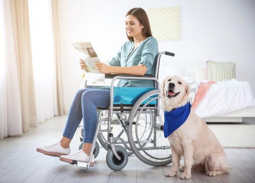Woman in wheelchair reading newspaper with service dog by her side indoors