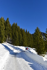 Fototapeta premium Berwang in den Lechtaler Alpen