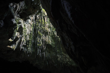 Cave opening to lush forest Gunung Mulu national park Borneo Malaysia