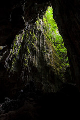 Cave opening to lush forest Gunung Mulu national park Borneo Malaysia