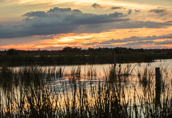 vibrant sunset over the florida wetlands