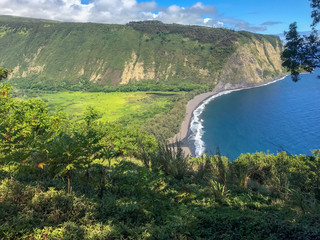 Fototapeta na wymiar Hawaiian View
