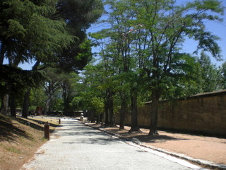 paseo parque
