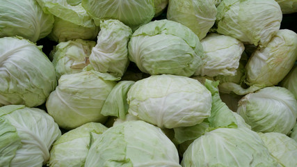 Fototapeta na wymiar Cabbages for sale on the market
