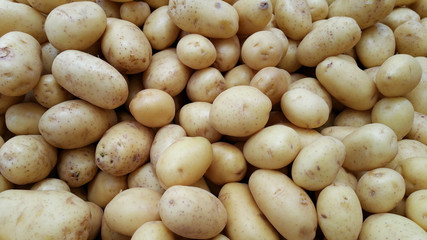 Potatoes for sale on the market