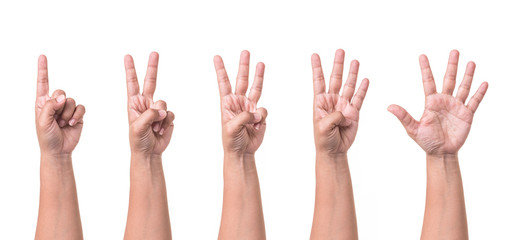 Set of human hand collection showing gestures or sign of number one to five isolated on white