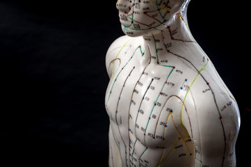 Alternative medicine and east asian healing methods concept with acupuncture dummy model with copy space. Acupuncture is the practice of inserting needles in the subcutaneous tissue, skin and muscles - obrazy, fototapety, plakaty