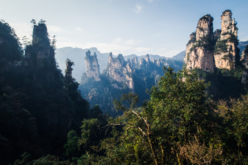 Avatar mountains in chinese national park Zhangjiajie