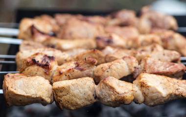 shish kebab on coals