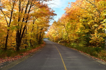 Fototapeta na wymiar A beautiful road in autumn